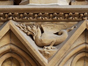 20250717_X7175148_EM1II_DxOstd