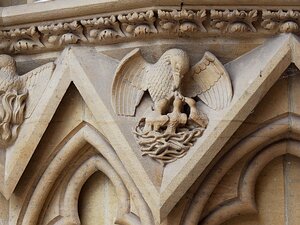 20250717_X7175149_EM1II_DxOstd