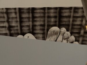 20250716_X7165011_EM1II_DxOstd