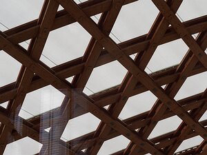 20250716_X7165012_EM1II_DxOstd