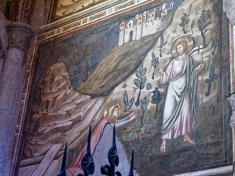 20240617_X6179566_EM1II_DxO-HDRrealDP7XD