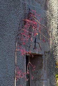 20251111_XB116539_EM1II_DxOHDRReal