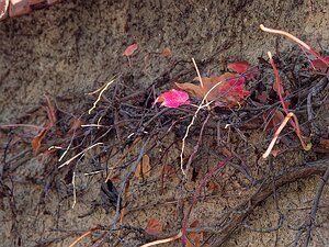 20251111_XB116541_EM1II_DxOHDRReal