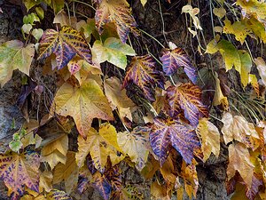 20251111_XB116543_EM1II_DxOHDRReal