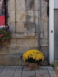 20251111_XB116473_EM1II_DxOHDRReal 25 September 1866 le Serein flood level marker