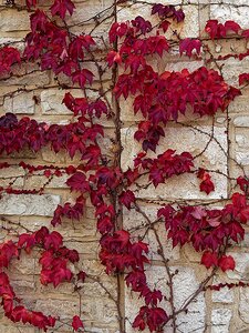 20251111_XB116481_EM1II_DxOHDRReal