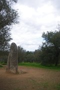 Almendres menhir near Evora, Portugal : Almendres menhir near Evora, Portugal