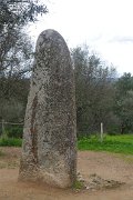 Almendres menhir near Evora, Portugal : Almendres menhir near Evora, Portugal
