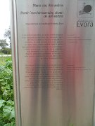 Almendres menhir near Evora, Evora, Portugal : Almendres menhir near Evora, Evora, Portugal