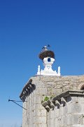 Alcacer do Sal, Portugal, Sao Bartolomeu church, storks : Alcacer do Sal, Portugal, Sao Bartolomeu church, storks