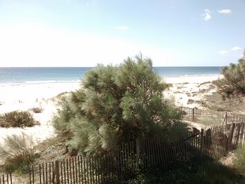 2016-03-05 Castro Marim beach, Tavira bike races and museums