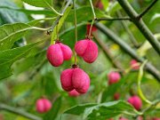 20201009_XA092564_EM1II_DxO-HDRreal