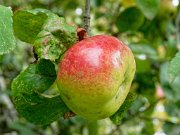 20201009_XA092566_EM1II_DxO-HDRreal