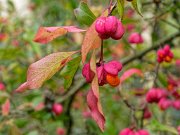 20201009_XA092567_EM1II_DxO-HDRreal