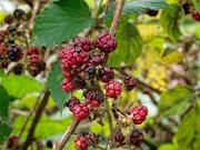 20201009_XA092569_EM1II_DxO-HDRreal