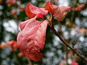 20201009_XA092570_EM1II_DxO-HDRreal