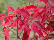 20201009_XA092574_EM1II_DxO-HDRreal