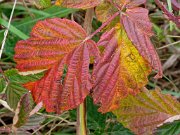 20201009_XA092577_EM1II_DxO-HDRreal