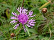 20201009_XA092586_EM1II_DxO-HDRreal