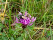 20201009_XA092589_EM1II_DxO-HDRreal