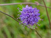 20201009_XA092602_EM1II_DxO-HDRreal