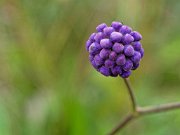 20201009_XA092603_EM1II_DxO-HDRreal