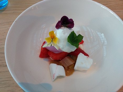 Restaurant-de-Kas_Amsterdam_20190508_IMG211951843 fifth course: strawberry, rhubarb, violet lemon sorbet, pansy flowers and meringue