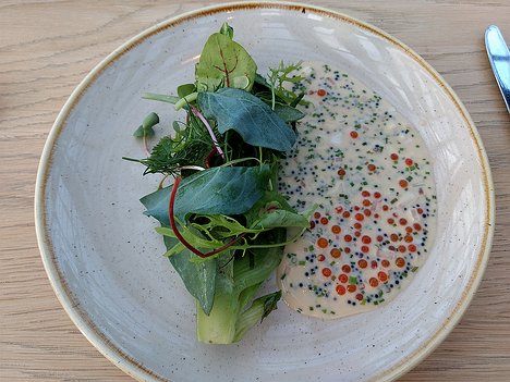 Restaurant-de-Kas_Amsterdam_20190508_IMGRestaurant-de-Kas_Amsterdam_201941343 second course: beurre blanc sauce with trout eggs and tobiko eggs with roast lettuce, samphire and oyster leaf