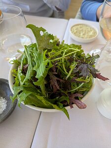 20250510_PXL130538070_Pixel7a-JEB Seasonal leaf salad