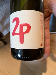 20241010_PXL111133373_Pixel7a-JEB 2P - Fanny Papelard & Romain Plageoles. Gamay-Occitanie-Vin De France