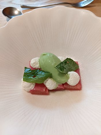20230427_PXL130927571.MP_Pixel3a-JEB seventh course: Rhubarb, honey cream, and sorrel ice