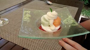 20150806_IMG_141844374_MotoG-JEB