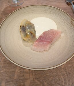 20260212_PXL122037708_Pixel10-JEB Riviere ancrée: omble chevalier (Artic char), émulsion de beurre noisette, choux de Bruxelles et cédrat confit (Corsican citron)