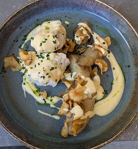 20250306_PXL120139454_Pixel7a-JEB La Pêche du moment (bar) et topinambours en texture