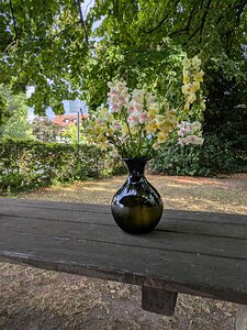 20250724_PXL164305668_Pixel7a-JEB