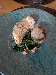 20250830_PXL133427451_Pixel7a-JEB Market fish fillet, girolle, wild garlic, summer truffle