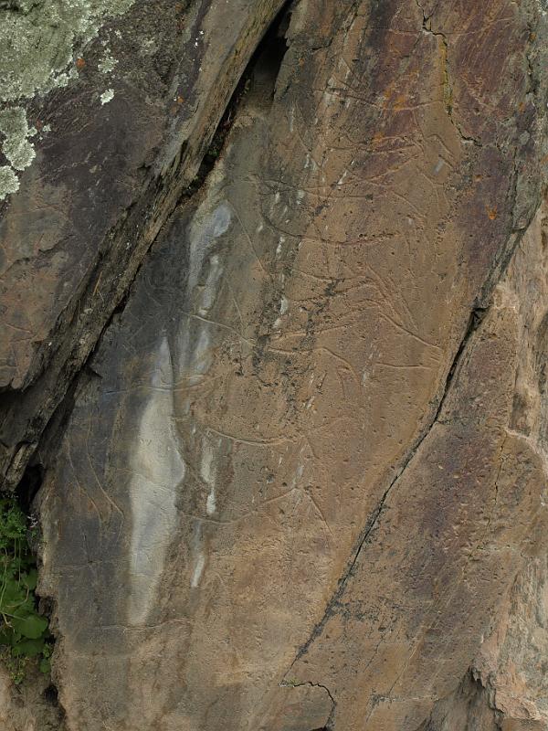 20100421_P4217806_E510.JPG - Castelo Melhor: rock carvings of the Foz Coa valley