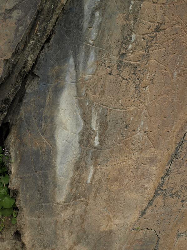 20100421_P4217807_E510.JPG - Castelo Melhor: rock carvings of the Foz Coa valley