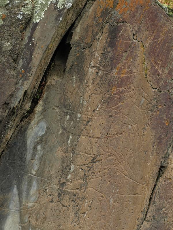 20100421_P4217808_E510.JPG - Castelo Melhor: rock carvings of the Foz Coa valley