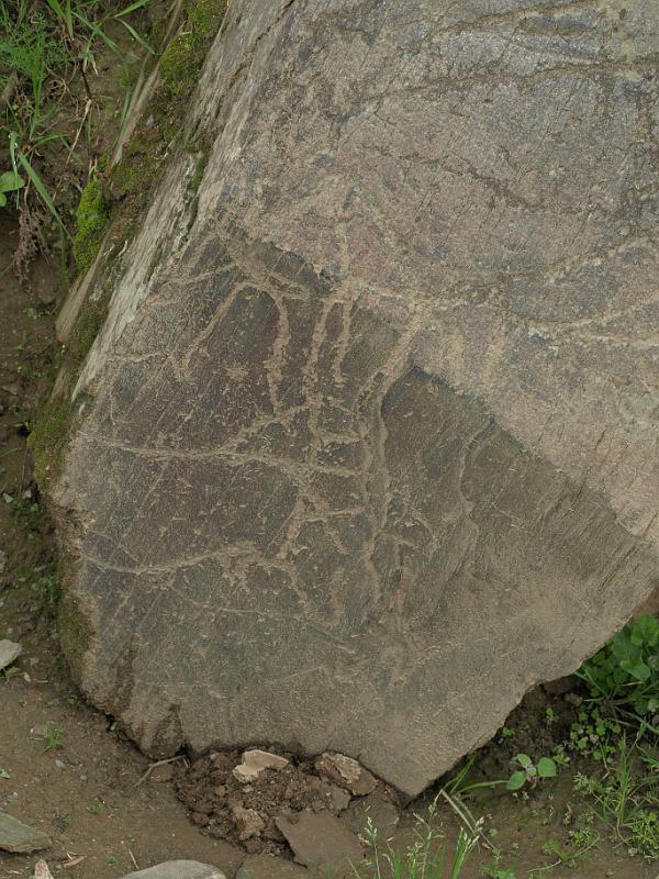 20100421_P4217811_E510.JPG - Castelo Melhor: rock carvings of the Foz Coa valley