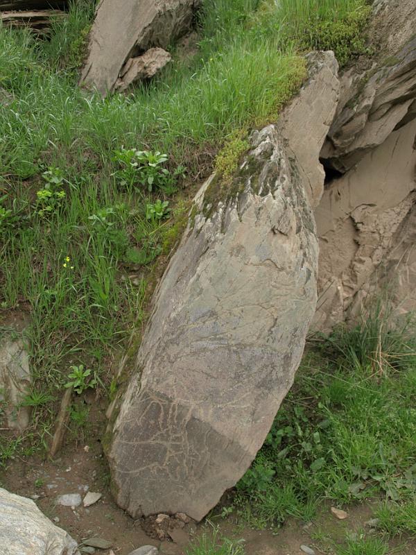 20100421_P4217812_E510.JPG - Castelo Melhor: rock carvings of the Foz Coa valley