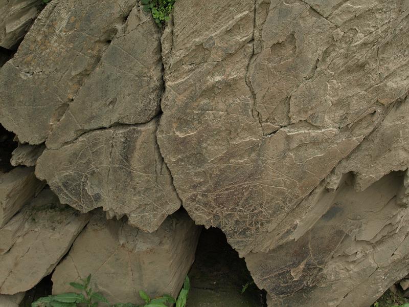 20100421_P4217818_E510.JPG - Castelo Melhor: rock carvings of the Foz Coa valley