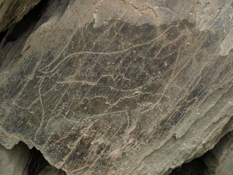 20100421_P4217821_E510.JPG - Castelo Melhor: rock carvings of the Foz Coa valley
