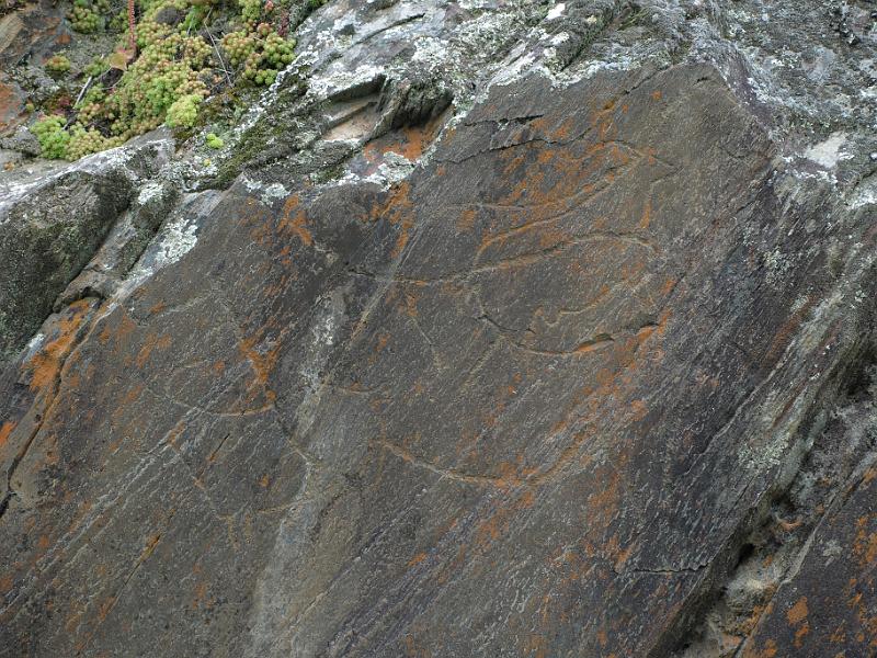 20100421_P4217824_E510.JPG - Castelo Melhor: rock carvings of the Foz Coa valley