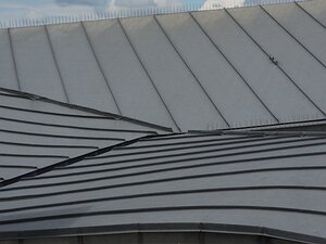 20250724_X7245262_EM1II_DxOstd Vitra Design Museum building by Frank Gehry