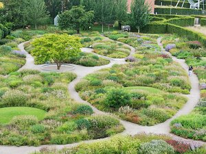 20250725_X7255305_EM1II_DxOstd Oudolf Garden