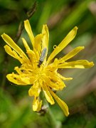 20200601_X6011111_EM1II_DxO-realHDR-crop