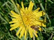 20200601_X6011113_EM1II_DxO-realHDR-crop