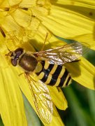 20200601_X6011113_EM1II_DxO-realHDR-crop1