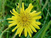 20200601_X6011114_EM1II_DxO-realHDR